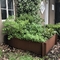 Outdoor Square Corten Steel Raised Beds Untuk Tepi Penanam Bunga Sayuran